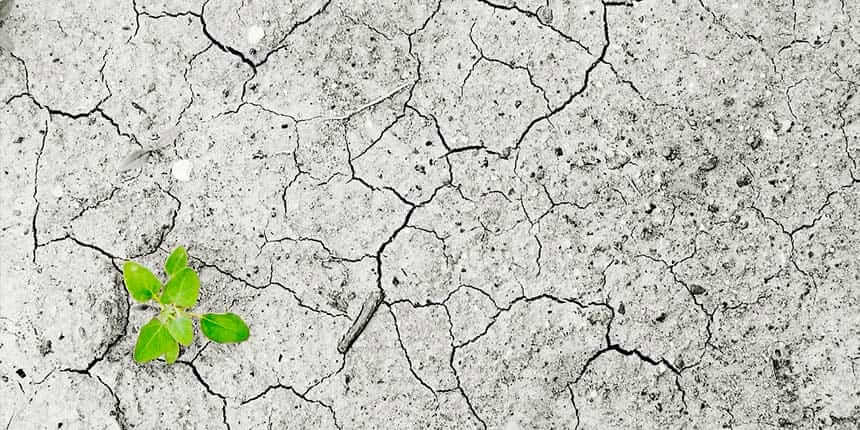 En la imagen se ve una planta naciendo en un sitio donde esnecesario el uso de energías renovables en España para la lucha contra el cambio climático