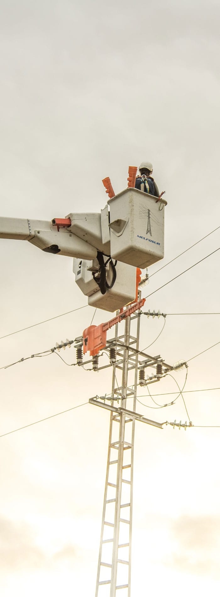 Técnico de Melfosur realizando una distribución de media y baja tensión en un poste de una red eléctrica